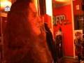 Gerard Ekdom imitatie - George Baker