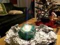 Jen's Money Tree