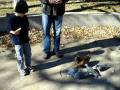 videos de Duck pond 1.mov
