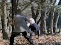 Gymkata Redux - Check My Footwork!