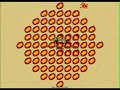 Legend Of Archinare(Liches of Archinare) Part3/3 Legend Of Archinare(Liches of Archinare) Part3/3