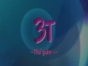 3T 3T