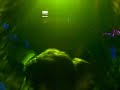 Budai & Vic - ILD - Szeged, Sing-Sing, 2008-03-14 Part 1
