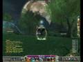 Blackavenger lvl up 71 at Green Worms