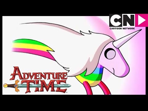 Adventure Time | Lady Rainicorn In The Crystal Dimension | Cartoon Network