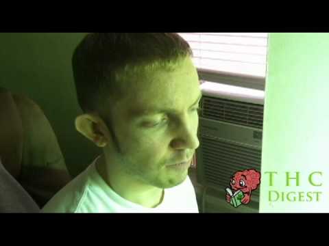 how to grow kb weed