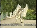Hua Quan Er Shi Si Shi - Hua (Flower) Fist 24 Movements