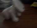 funny insanity part 2