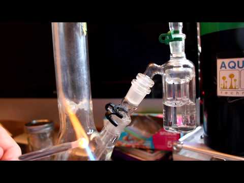 how to grow purple mr nice guy
