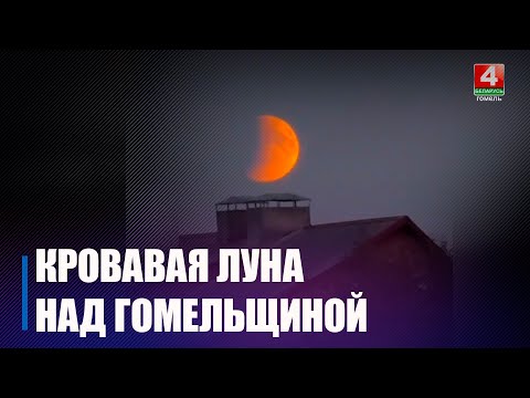 Гомельчане активно делятся в сети снимками сентябрьского лунного затмения видео