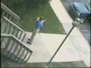 Dog Stealing the New York Times