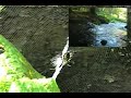 Dale Hollow Final Cut experiment