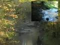 Dale-Hollow-Final-Cu