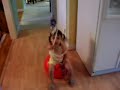 Hippity Hop