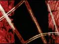 Norman McLaren 09   Begone dull care 1949