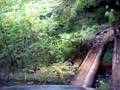 Julie's Liberty Camp Jeep 07 - Log Bridge 