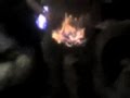 videos de Palle di Massi in fiamme RMX