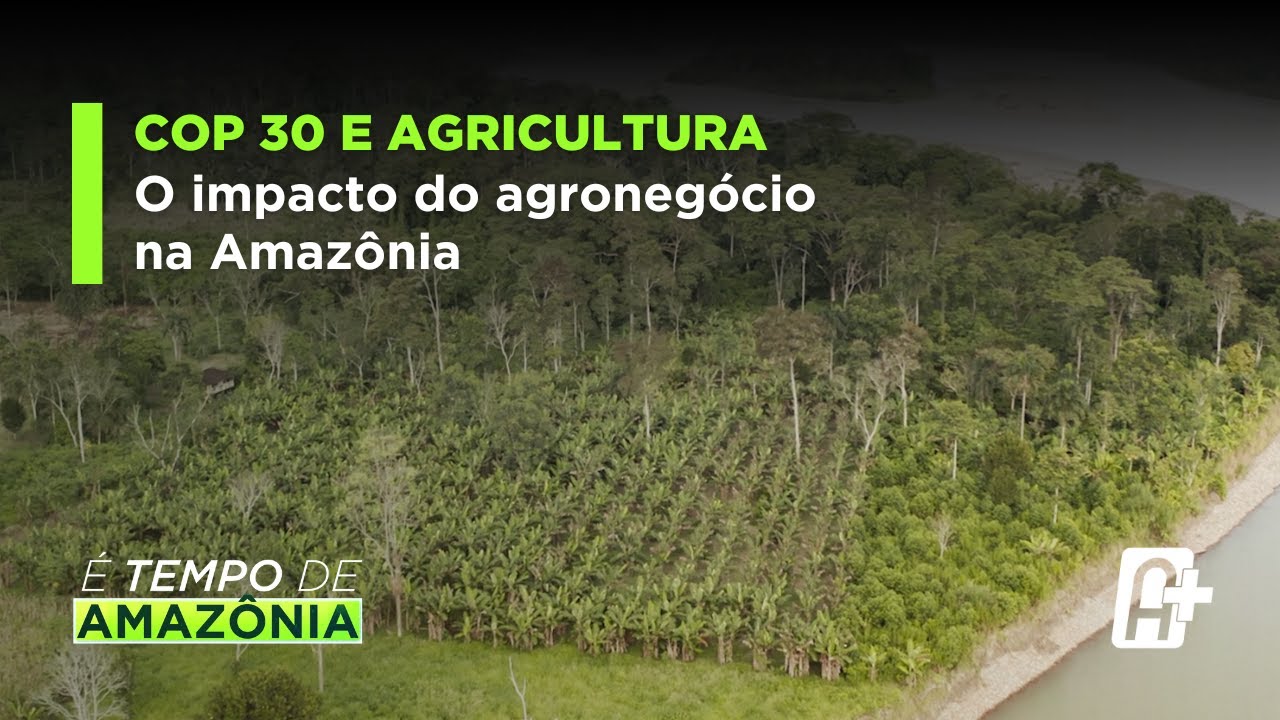 COP 30 e Agricultura: O Impacto do Agronegócio na Amazônia.