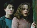 harry poter and hermione granger