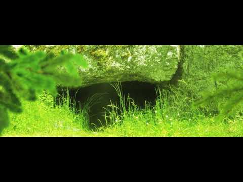 Youtube Video svK0l04mSLM