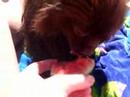 Coco loves watermelon