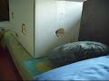Meine Ratten haben Auslauf