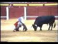 Matador pats the bull\