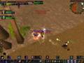 WoW (Invisiblex) 70 lvl Night Elf Rogue (3)