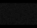 animated short for white flight single
