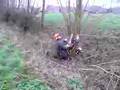 videos de Wilgen knotten in het Volsembroek