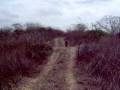 videos de bikingpeninsula Saya video2