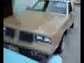 PACHUCO DE ORO LOWLOW 86