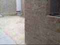 videos de Los mishitos y el mogly 2
