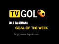 TVGOLO - Best Goals of the Week / Melhores Golos da Semana (Feb 2009 #1)