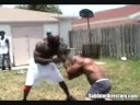 kimbo-street-fights