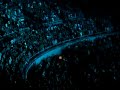 scar tissue red hot chili peppers live champaign illinois