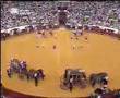 Corrida de Gala à Antiga Portuguesa-RTP 50 anos