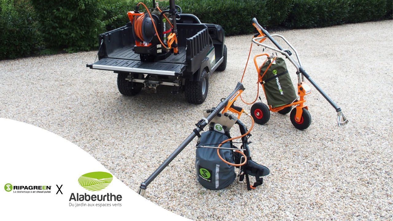 Interview Ripagreen - Alabeurthe