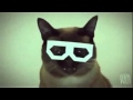 Dubstep Cat! [EPIC]
