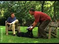 Video de entrenamiento de cachorros - �rdenes b�sicas (Episodio 7)