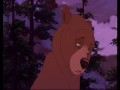 Brother bear apologize