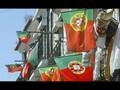 Amo-te Portugal