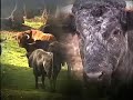 naturalezacolmenar