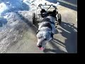 [Video]