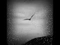 BABIS STOKAS-TO ONEIRO
