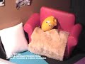 Eggs Entertaining Journey