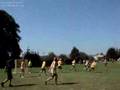Český lakros - Castaway Cup 2007