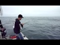 Salmon Fishing