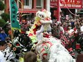Chinese New Year Lion Dance - Victoria, BC
