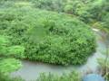 videos de Kauai Zipline Trek